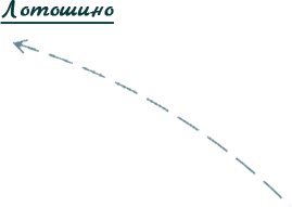 Лотошинский район доставка морепродуктов