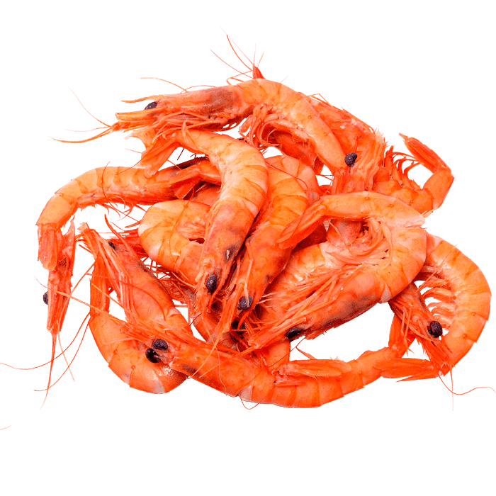 Доставка морепродуктов на дом