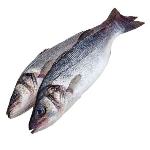 Сибас рыба купить
