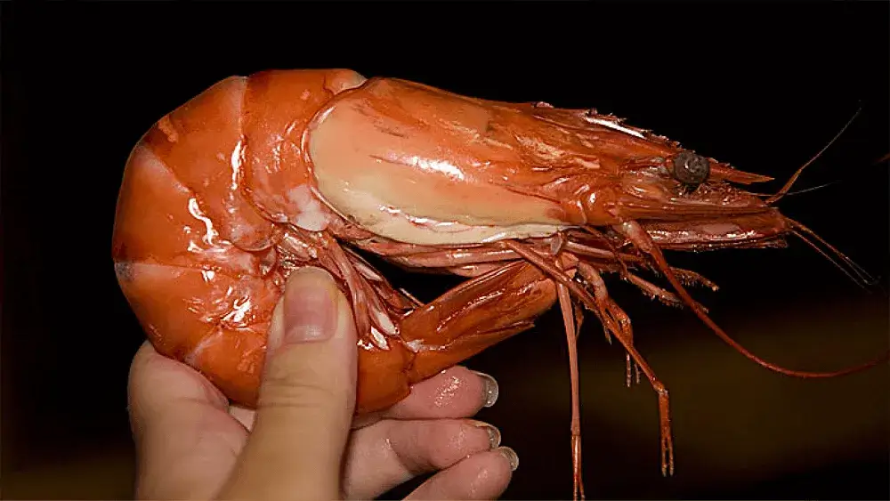 Размер креветок таблица.